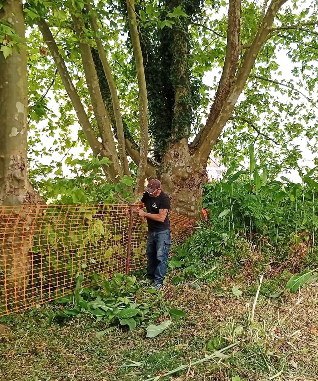  Desbrozamos fincas, parcelas y terrenos en Vigo y alrededores